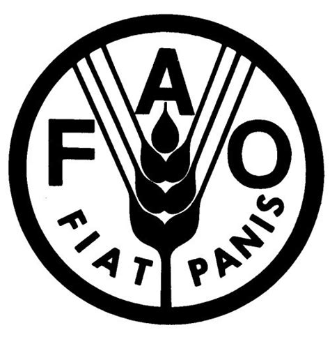 ¿qué Es Y Qué Hace La Fao