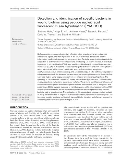 (PDF) Detection and identification of specific bacteria in wound biofilms using peptide nucleic ...