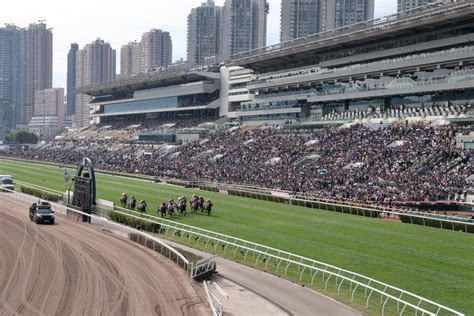 專訪︱澳門新加坡棄賽馬 邵家輝籲港府把握機會加強推廣 星島日報