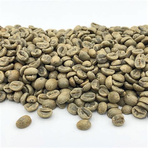 Green Coffee Beans | El Salvador - Coffee Bean Corral