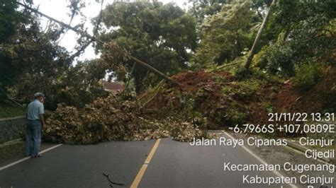 Dampak Gempa Cianjur Jalan Nasional Tertimbun Longsor Dan Pohon Tumbang