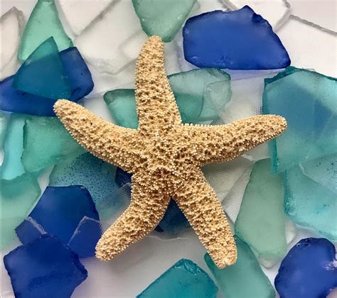 Sea Glass And Star Fish Photograph By Kristina Deane Pixels