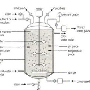 Bioreactor (Shuler & Kargi, 1982) | Download Scientific Diagram