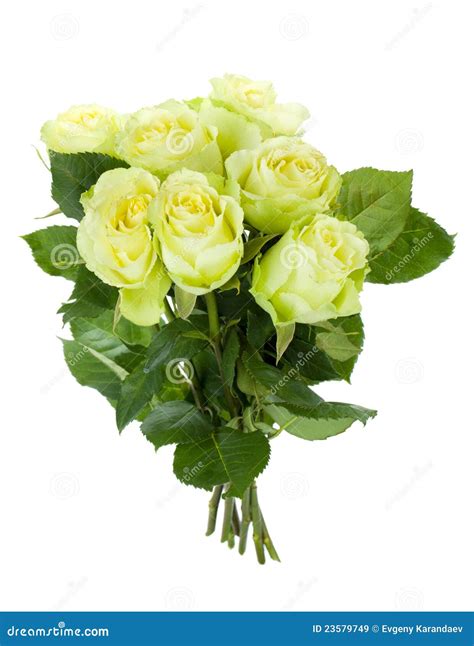 Green roses bouquet stock image. Image of beautiful, celebration - 23579749