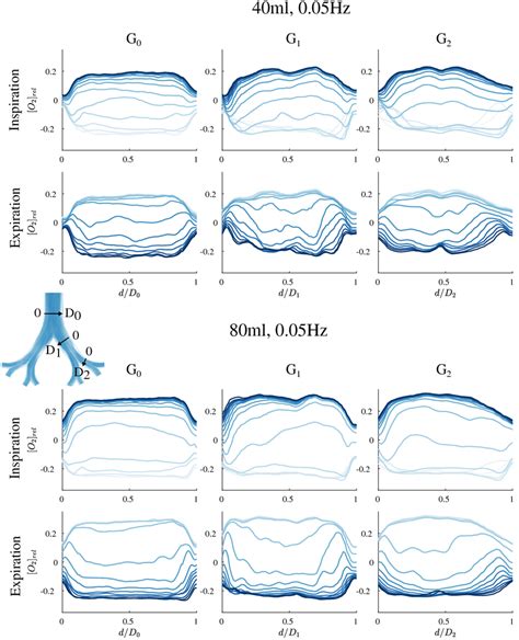 Dissolved Oxygen Concentration Profiles Across Download Scientific