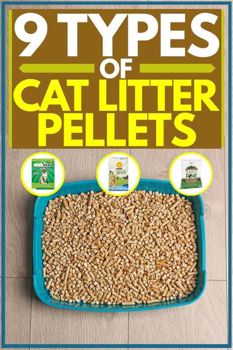 9 Types of Cat Litter Pellets - Litter Boxes Magazine