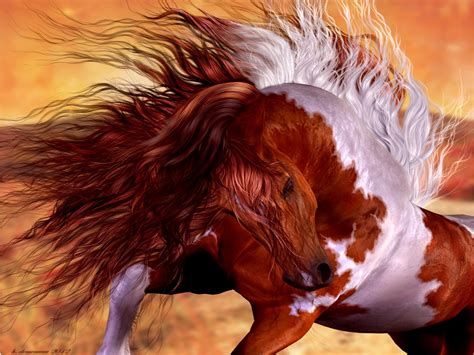 Paint Horse Wallpaper 40 Images