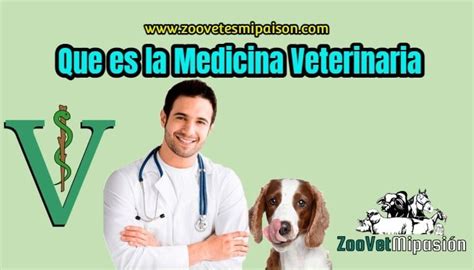 Poema Veterinario Que Significa Ser Veterinario