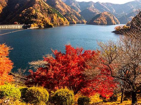 奥多摩湖の紅葉 Photo散歩