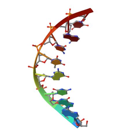 Rcsb Pdb Ru Crystal Structure Of Human Dna Polymerase Eta