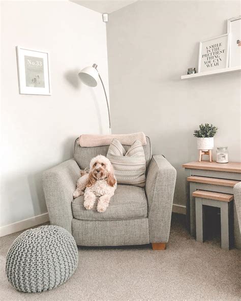 Cuddle Sofa Dfs Cabinets Matttroy