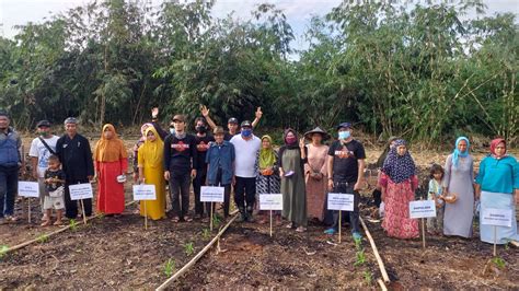 Upaya Ketahanan Pangan Di Masa Pandemi Pemkab Purwakarta Dorong