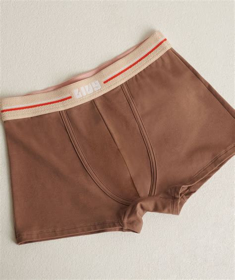 Boxer Leo Refinementcolor