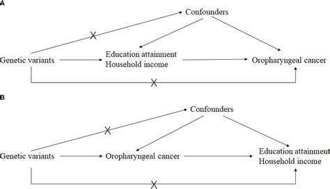 Frontiers Mendelian Randomization Eradicates The Causal Relationship