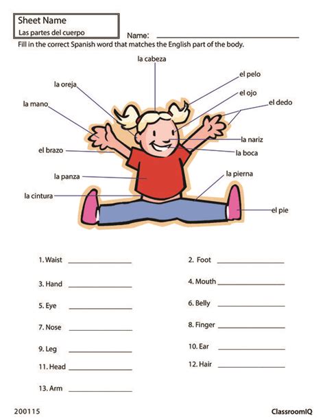 Body Parts In Spanish Spanishworksheets Classroomiq Newteachers