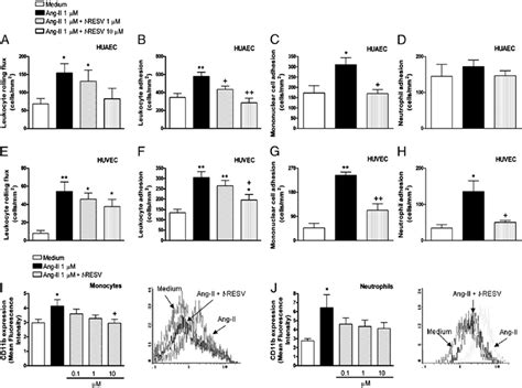 Effect Of T RESV On Leukocyte Endothelial Cell Interactions Induced By