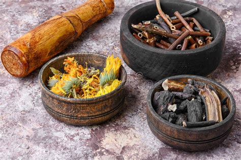 Healing Gathering Roots And Herb Stock Photo Image Of Recovery