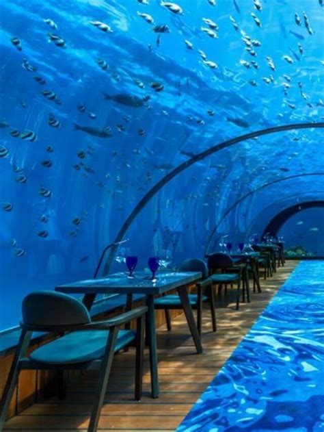 Best Underwater Restaurants In The World