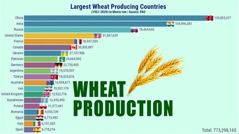 Largest Wheat Producing Countries Youtube