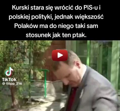 Brawo Dla Tego Ptaka Wiocha Pl Absurd 1790349