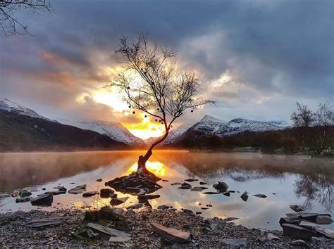 Snowdonias Famous Lonely Tree Where To Find It And Why Its So