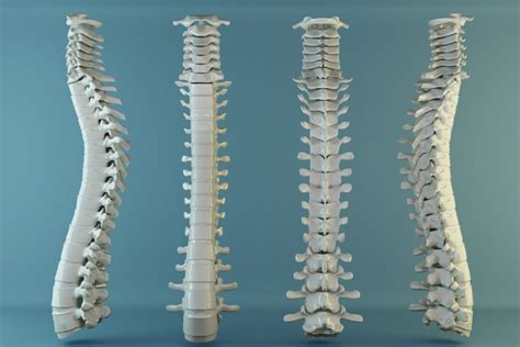 New Innovations Outpatient Spine Surgery Coastal Orthopedics