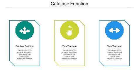 Catalase Function Ppt Powerpoint Presentation Icon Show Cpb | Presentation Graphics ...