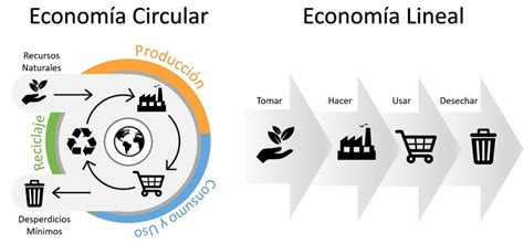 Diferencia entre el modelo de economía circular y economía lineal