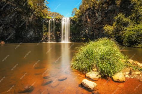 Premium Photo | Dangar falls in the rainforest of dorrigo national park ...