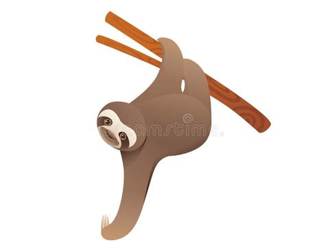 Sloth Hanging On A Branch Cartoon Animal Design Vector Illustration On