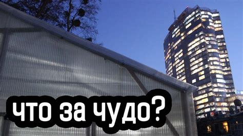 Оранжерея - теплица из поликарбоната в центре мегаполиса - YouTube