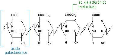 Pectina EcuRed