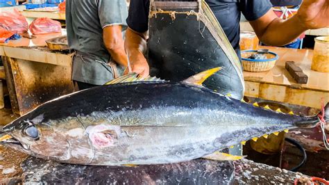 HOW TO CUTTING A TUNA FISH 25 KG TECHNIQUES AND PRO TIPS IN