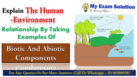 Explain The Human Environment Relationship By Taking Examples Of Biotic