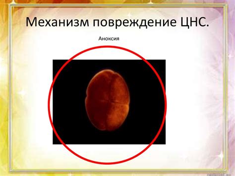 - презентация онлайн