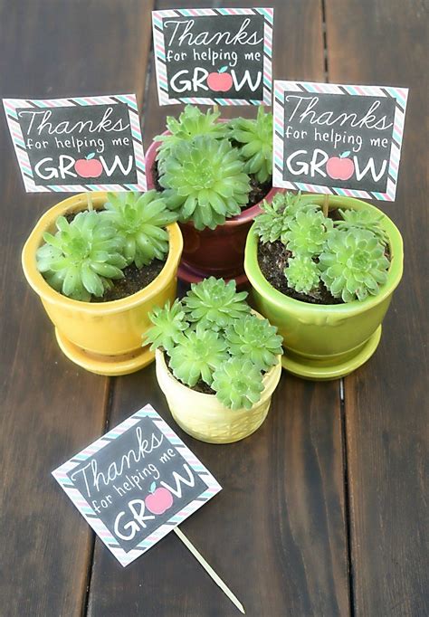 A Succulent Plant With A Printable Label “thanks For Helping Me Grow ” Teacher Appreciation Is