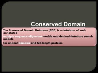 Protein Database Of NCBI PPT