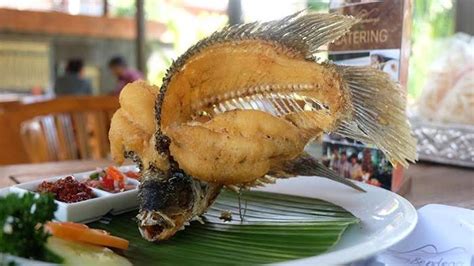 Menu Gurame Goreng Ini Disajikan Begitu Menarik Seolah Olah Sedang