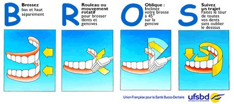 Comment Bien Se Brosser Les Dents Technique Efficace