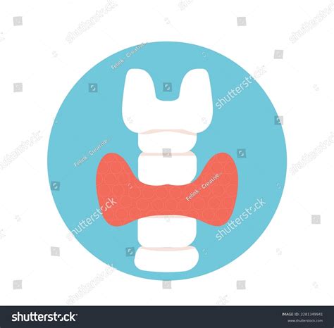 Thyroid Gland Endocrinology System Symbol Organ Stock Vector Royalty Free 2281349941