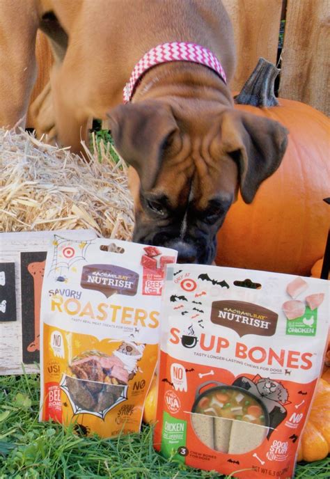 Rachael Ray Nutrish Halloween Dog Treats | All Things Target