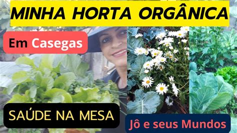 Minha Primeira Horta Org Nica Em Casegas N O Ficou Perfeita Mas Foi