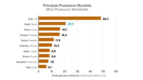 Papel e celulose no Brasil veja como funciona o processo de produção