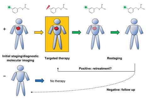 Molecular Theranostics A Primer For The Imaging Professional Ajr