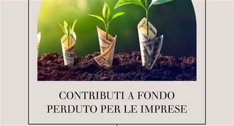 Contributi A Fondo Perduto In Italia Guida Completa Pmi It