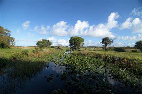 Loxahatchee National Wildlife Refuge Stock Image - Image of national ...