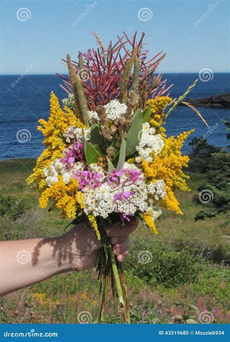 Holding A Bouquet Of Wild Flowers Stock Photo Image Of Fireweed