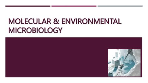 Molecular Environmental Microbiology Ppt