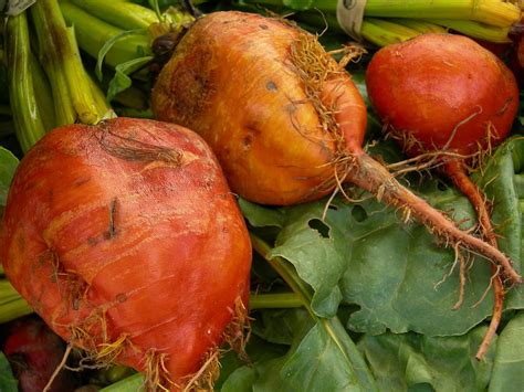 Red Colored Root Vegetable