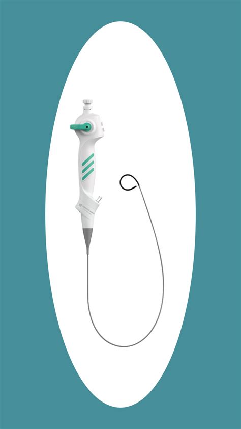 Zebrascope Single Use Digital Flexible Ureteroscope With Intrarenal